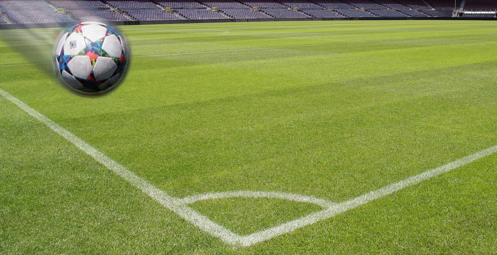 Vienna Wolves Fußballmannschaft aus Wien vienna-wolves.at