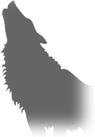Fußballclub Vienna Wolves